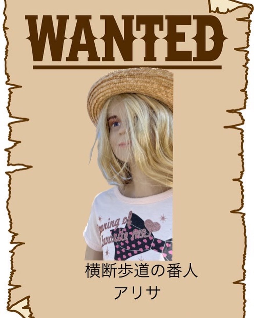 スタッフ紹介